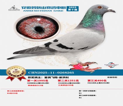 ��������ɽ����490��