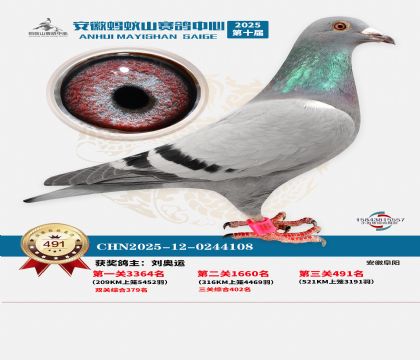 ��������ɽ����491��