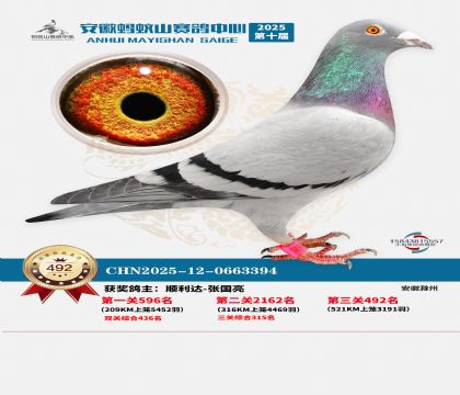 ��������ɽ����492��