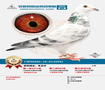 ��������ɽ����493��