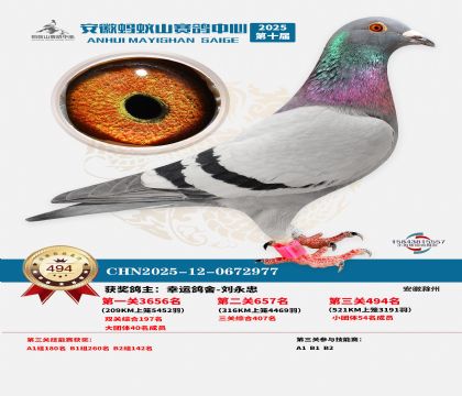 ��������ɽ����494��