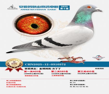 ��������ɽ����495��