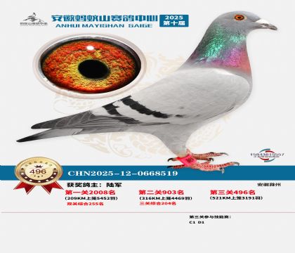 ��������ɽ����496��