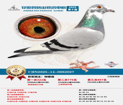 ��������ɽ����497��