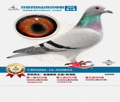 ��������ɽ����498��