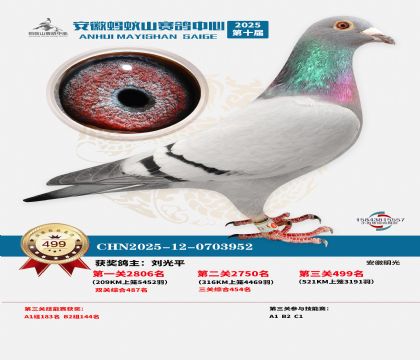 ��������ɽ����499��