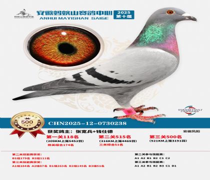 ��������ɽ����500��