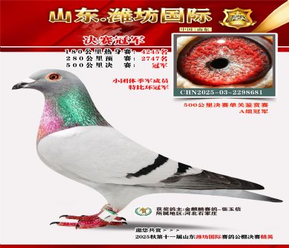 Ϋ�����ʾ����ھ�