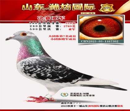 Ϋ�����ʾ����Ǿ�