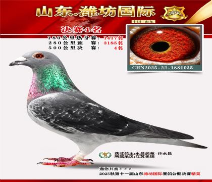 Ϋ�����ʾ���4��