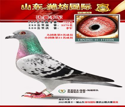 Ϋ�����ʾ�������