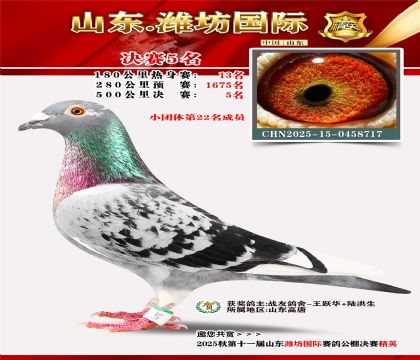 Ϋ�����ʾ���5��