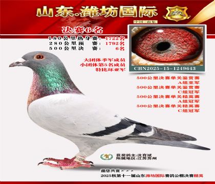 Ϋ�����ʾ���6��