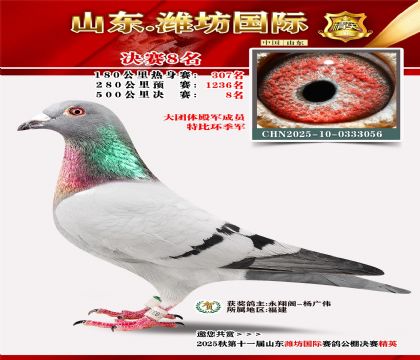 Ϋ�����ʾ���8��