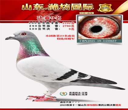 Ϋ�����ʾ���9��