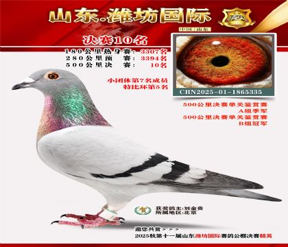 Ϋ�����ʾ���10��