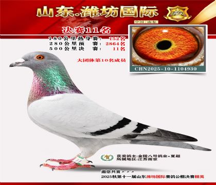 Ϋ�����ʾ���11��