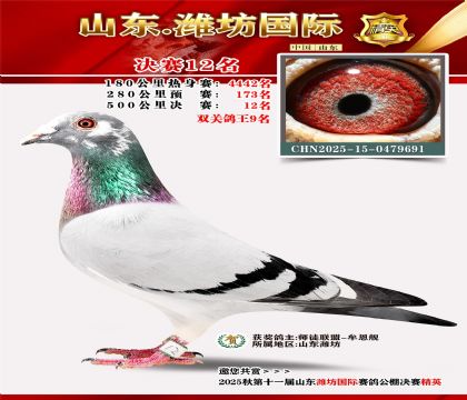 Ϋ�����ʾ���12��