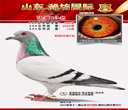 Ϋ�����ʾ���13��