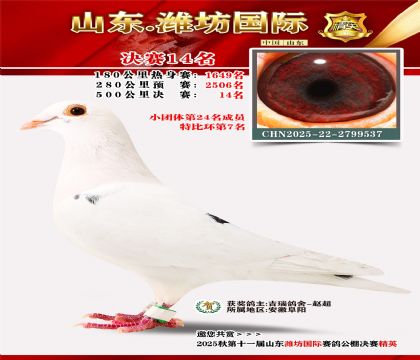 Ϋ�����ʾ���14��