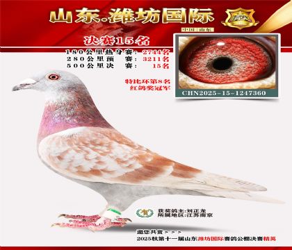 Ϋ�����ʾ���15��