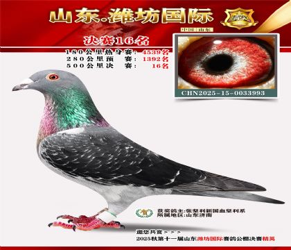 Ϋ�����ʾ���16��