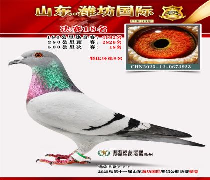 Ϋ�����ʾ���18��