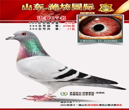 Ϋ�����ʾ���17��