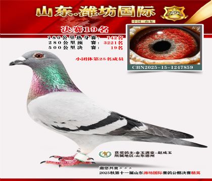 Ϋ�����ʾ���19��