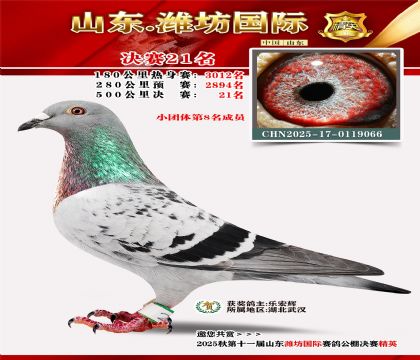 Ϋ�����ʾ���21��