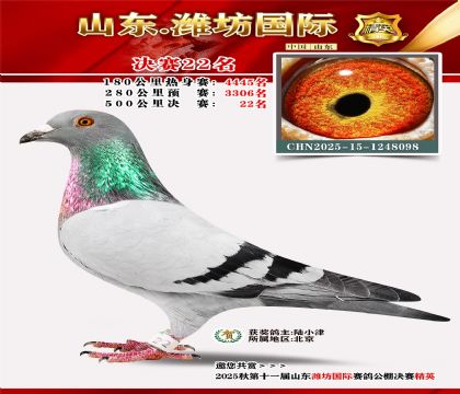 Ϋ�����ʾ���22��