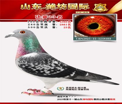 Ϋ�����ʾ���23��