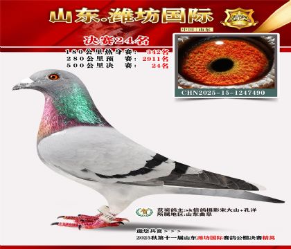 Ϋ�����ʾ���24��