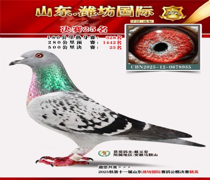 Ϋ�����ʾ���25��