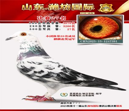 Ϋ�����ʾ���27��