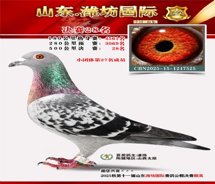 Ϋ�����ʾ���28��