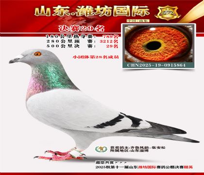 Ϋ�����ʾ���29��