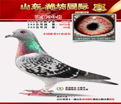 Ϋ�����ʾ���30��