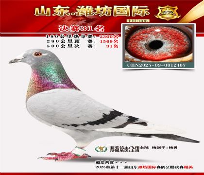 Ϋ�����ʾ���31��