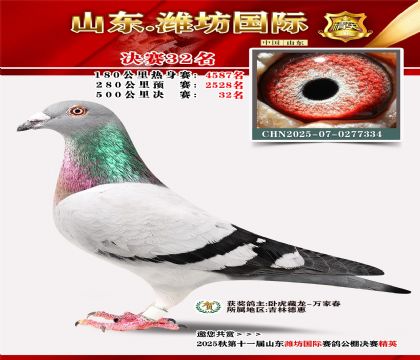 Ϋ�����ʾ���32��