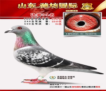 Ϋ�����ʾ���34��