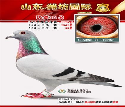 Ϋ�����ʾ���33��