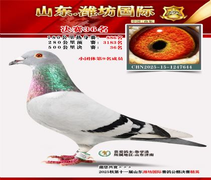 Ϋ�����ʾ���36��