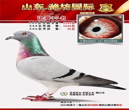 Ϋ�����ʾ���35��