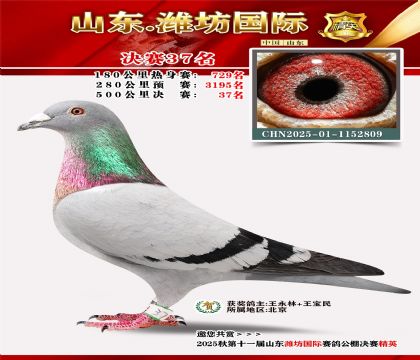 Ϋ�����ʾ���37��