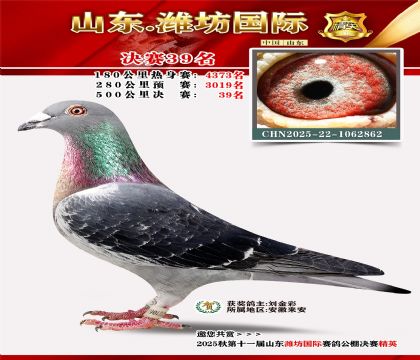 Ϋ�����ʾ���39��