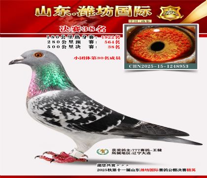 Ϋ�����ʾ���38��