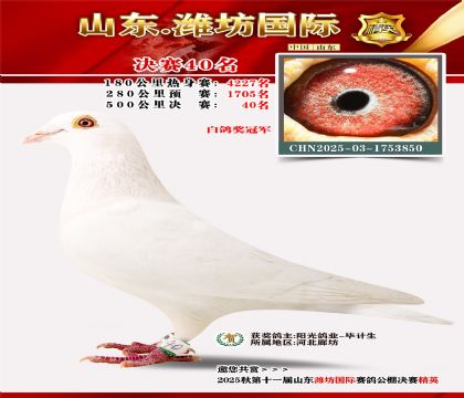 Ϋ�����ʾ���40��