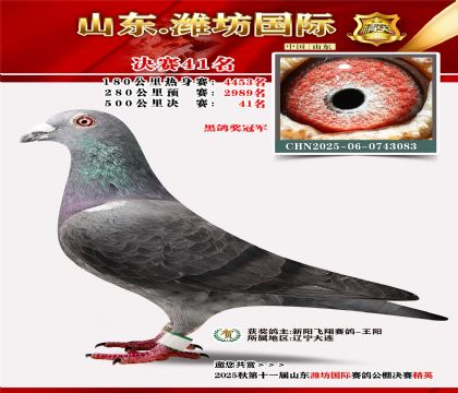 Ϋ�����ʾ���41��