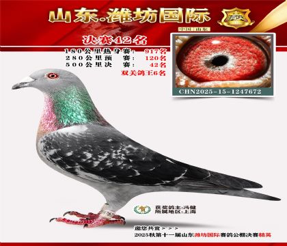 Ϋ�����ʾ���42��